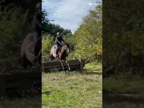 le changement 🙏🏻