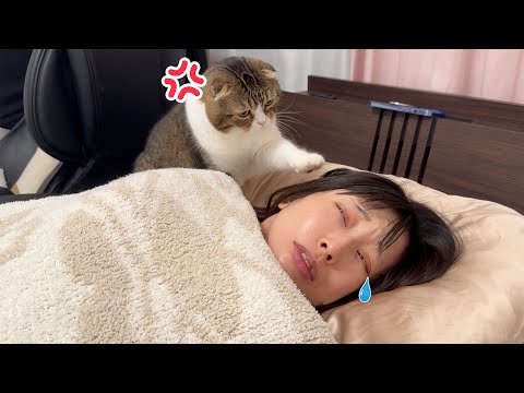 早朝4時に猫に起こされて泣いちゃう飼い主がこちらです…