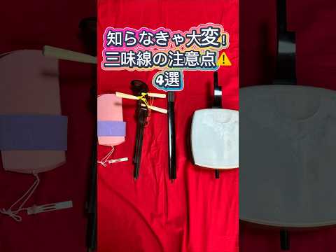 【長唄三味線】知らなきゃ大変!三味線の注意点4選 #長唄 #長唄三味線 #大人初心者 #注意点