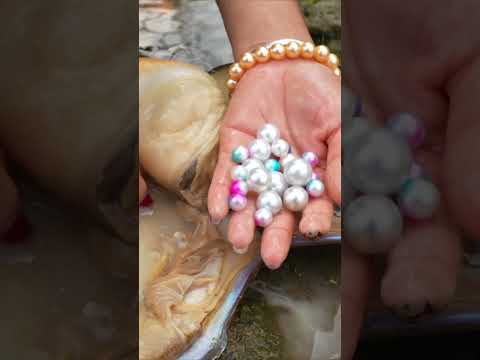 👍 Nature’s Surprise: Girl’s Clam Find Holds a Perfect Pearl Inside!