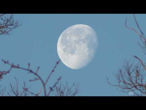 Moonset 2020_02_12