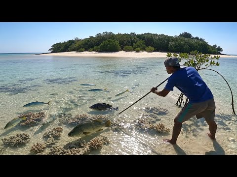 Berburu waktu air surut siang malam dan menombak ikan, udang mantis & kepiting di pulau