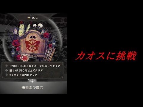 【まどドラ】カオス 薔薇園の魔女に挑戦 配信【2025/10/26】