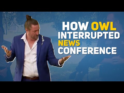 🌎Watch how owl interrupted news interpreter in Australia mid-conference | Viral