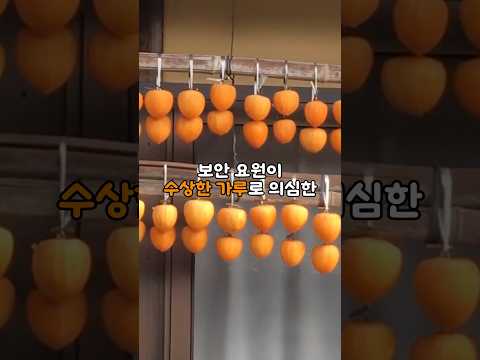 배 속에 돌이 생긴다던 떫은 감을 한국이 말리자 외국 공항이 붙잡아 버린 이유