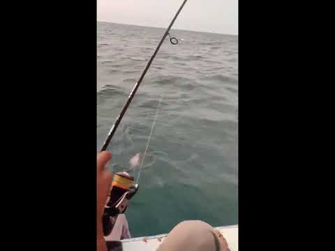 #mancingdulukawan#pulautunda#pyfツ 