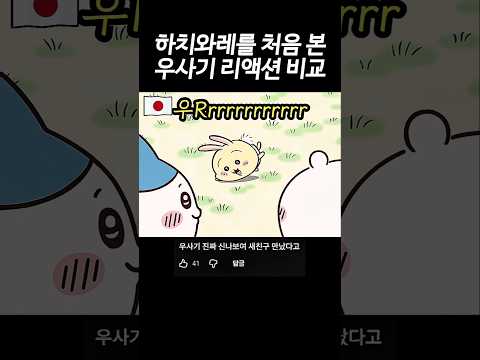 하치와레를 처음 본 <strong>우사기</strong> 리액션 한일 비교 #먼작귀