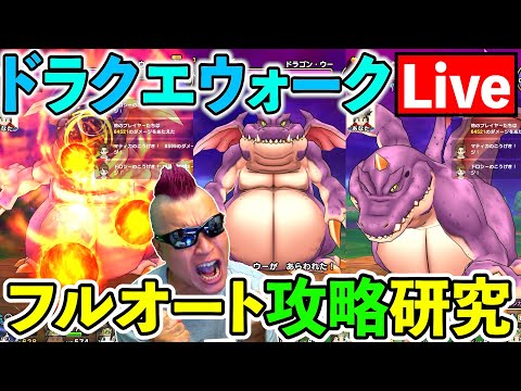 【ドラクエウォーク】ドラゴンウーをフルオートで安定させる為の生放送