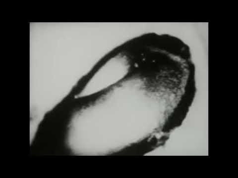 DEATHFIEND Concert Tickets - 2026 Tour Dates