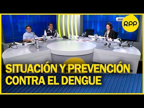 ¿Cuál es la situación y las medidas de prevención contra el dengue en el Perú?