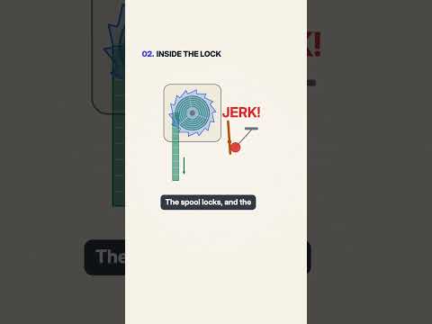 Why Does a Seatbelt Pull Tight During a Crash #shorts #explained