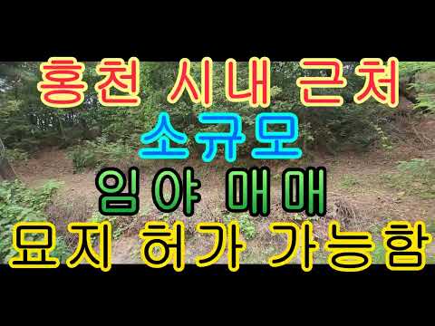 홍천 시내 근처 소규모 임야 매매 <strong>묘지</strong> 허가 가능함 1114제곱 337평 6천만