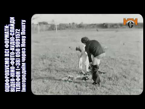 FRANKIVSKTV: Practice in Zhydachiv district newspaper "Soviet Way". 1981 ОЦИФРОВУЄМО ВСЕ: 0509091572