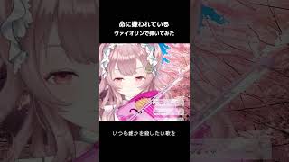 プロヴァイオリニストが #命に嫌われている 弾いてみた！