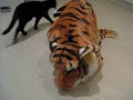 My pet tiger