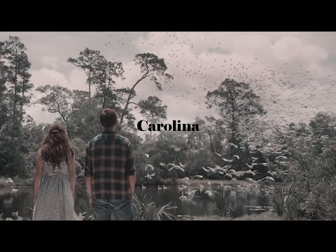 Where the Crawdads Sing | carolina | Taylor Swift
