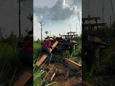 14 de outubro de 2025