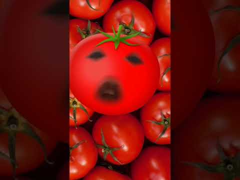 Hello everyone, I'm a tomato and I'm very hungry.انا البندورة الحمرا