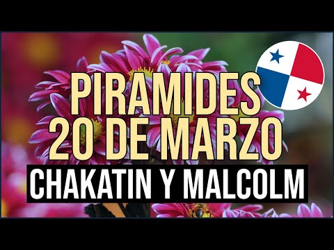 Pirámide Lotería de Panamá Miércoles 20 de Marzo 2024  Pirámide de Chakatin y Malcolm Ramos