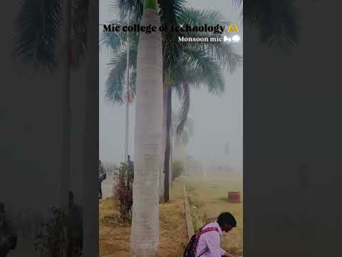 Tag ur college ❤️‍🩹💖 #collegelife #miccollege #college #students #climate #winter #mician #btech