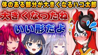 1年間で成長し、柔らかく大きくなったハコ太郎【ホロライブ/アイリス/ハコ太郎/ベールズ/クロニー/ビジュー】