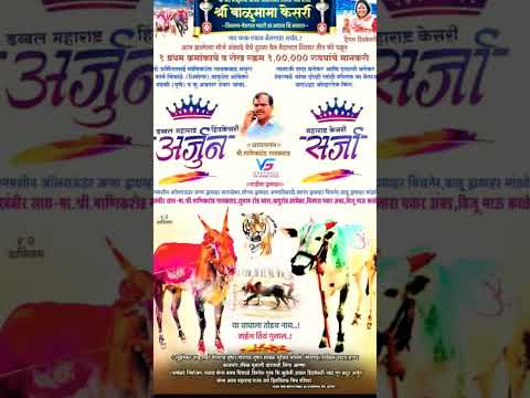 हिंदकेसरी अर्जून आणि सर्जा | प्रथम क्रमांकाचे मानकरी | #बकासुर #naadekachbailgadasharyat #bakasur