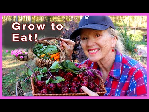 Afternoon HARVEST and homegrown STIR-FRY | Late October