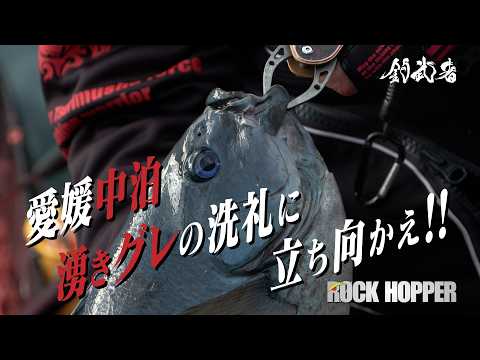 釣武者【ROCKHOPPER】　豊後水道　中泊　沖磯にて。。