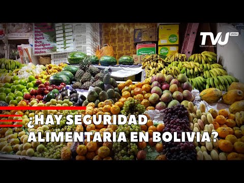 Seguridad Alimentaria en Bolivia