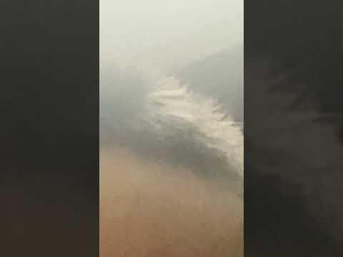 ngày 10 tháng 10, 2025