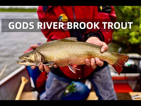 TNFF18 Elk Island Lodge 2022 YouTube Master