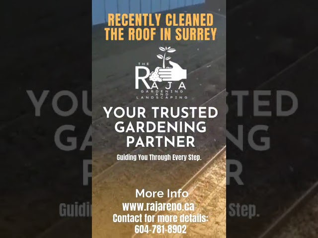 Raja Gardening and Landscaping recently cleaned the roof in Surrey.