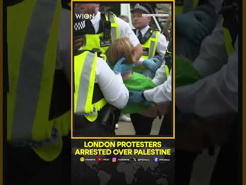 Police Arrest Pro-Palestine Protesters in Central London Crackdown | WION Shorts