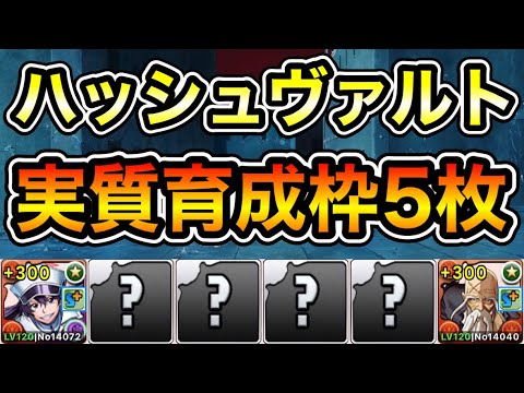 【パズドラ】実質育成枠5枚！メダルなどを集めよう！聖文字“B”・ユーグラム・ハッシュヴァルト降臨！星十字騎士団最高位！1周2分台！ずらしのみ！バンビエッタ×山本編成で高速プラス上げ周回！