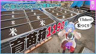 米農家の裏側、全部見せます【VTuberだけど安くて美味しいお米を作りたい！】