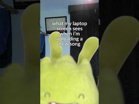 What my laptop sees