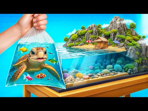 Construímos un Acuario para Peces y una Tortuga