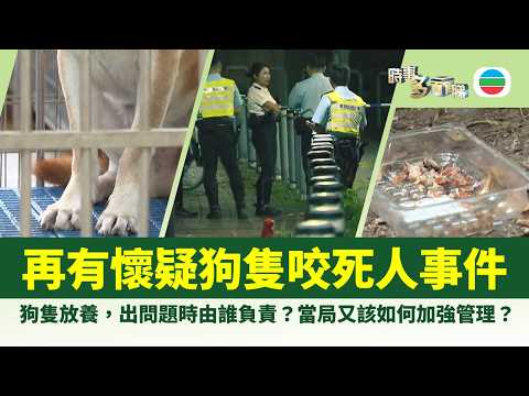 時事多面睇｜再有懷疑狗咬死人事件　狗隻被放養出問題時該由誰負責？　當局又該如何加強管理？｜2026年09月21日｜無綫新聞 ｜TVB News