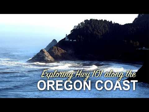 Lighthouses, Sea Life, & Coastal Charm | Exploring around Newport Oregon