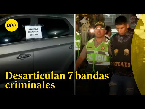 División Policial Sur logra desarticular a siete bandas criminales durante operativo