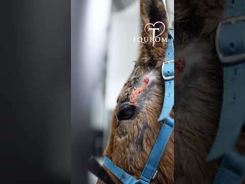 La cryothérapie pour soulager Aurore❤️‍🩹