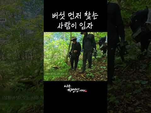버섯 먼저 찾는 사람이 <strong>임자</strong> #shorts