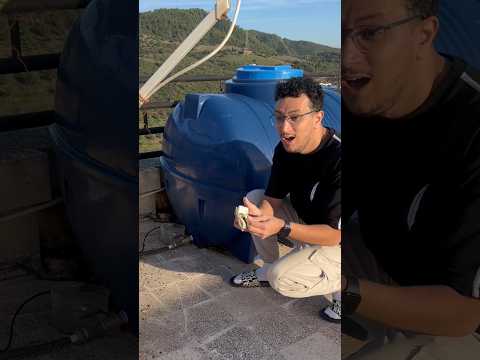 لو تصرالك واش تدير ؟ #اكسبلور