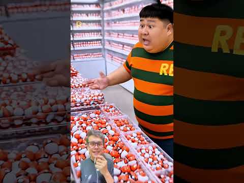 Ada Pikachu @RbrainProject