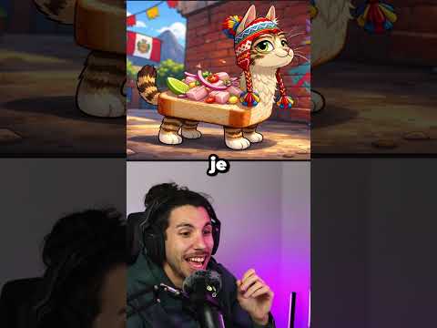 NYAN CAT es PERUANO