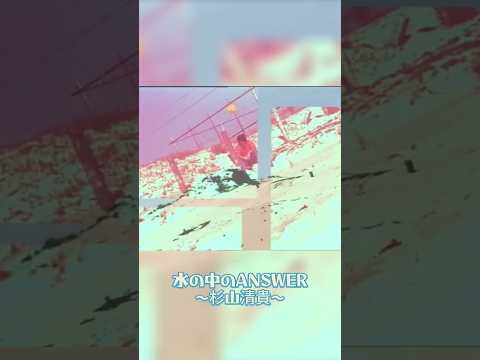 【杉山清貴】各種MVをVAPチャンネルにて公開中！🎥みなさんはどのMVがお気に入りですか？コメントでたくさん教えてください！ #杉山清貴  #水の中のANSWER  #mv