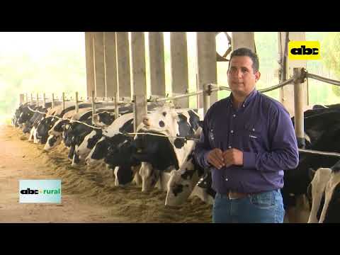 Formulación de raciones con software en ganadería de leche