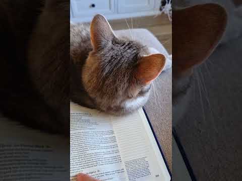 preaching the Word to all creation