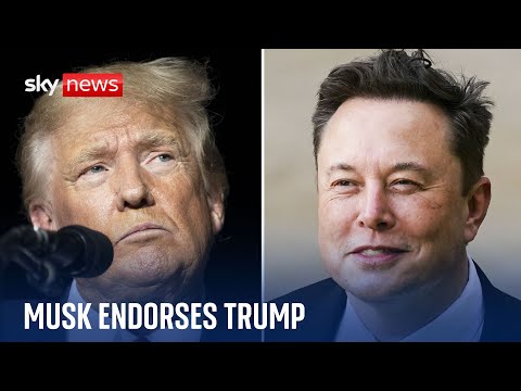 Elon Musk endorses Donald Trump as 'cyber attack' disrupts interview on X