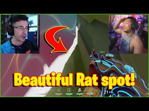 200 IQ Chamber play with the perfect enemy Harbor wall!!  | Valorant Funny & Best Moments Ep 660